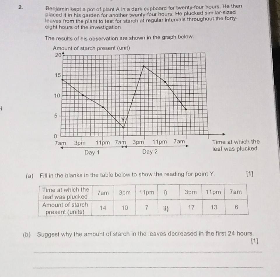 Benjamin kept a pot of plant A in a dark cupboard for twenty-four hours. He then 
placed it in his garden for another twenty-four hours. He plucked similar-sized 
leaves from the plant to test for starch at regular intervals throughout the forty- 
eight hours of the investigation 
The results of his observation are shown in the graph below 
hich the 
plucked 
(a) Fill in the blanks in the table below to show the reading for point Y. [1] 
(b) Suggest why the amount of starch in the leaves decreased in the first 24 hours. 
[1] 
_ 
_