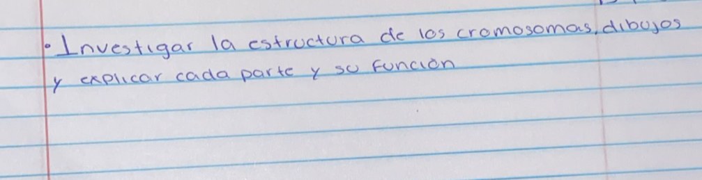 Investigar la estructura de los cromosomas, dibyjos 
y explicar cada parte y so Funcion