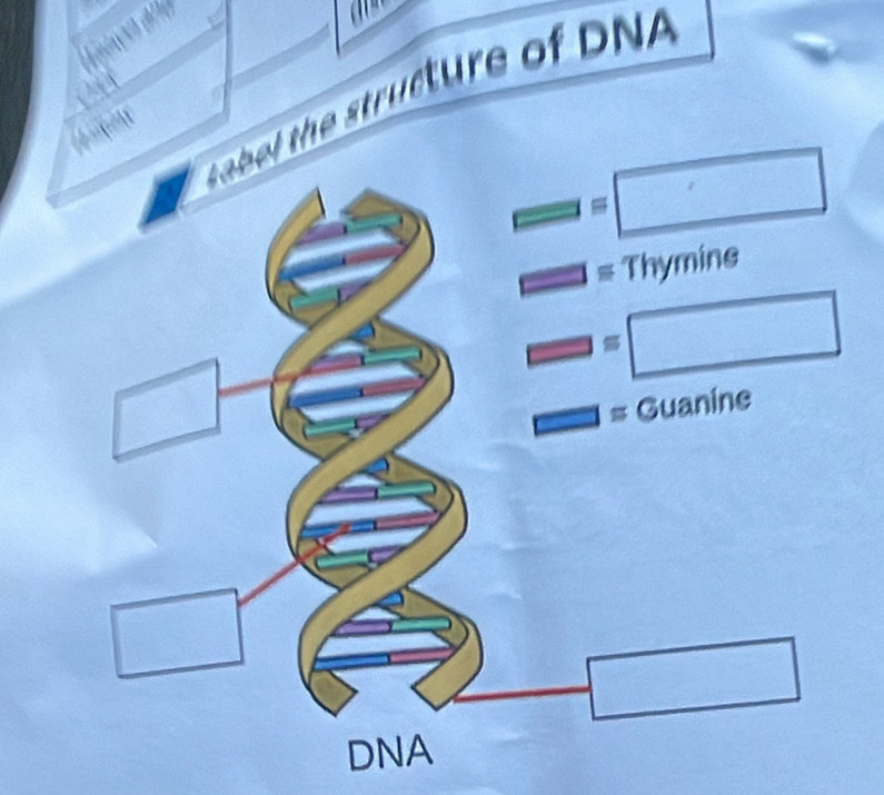 a
tructure of DNA