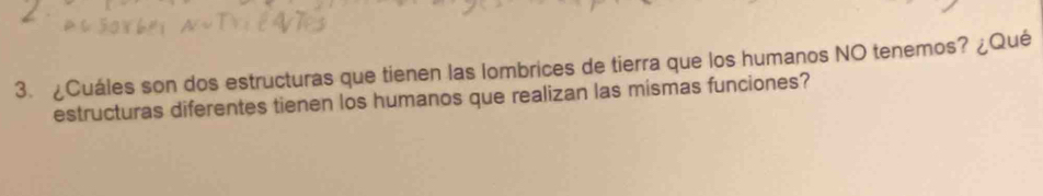 ¿Cuáles son dos estructuras que tienen las lombrices de tierra que los humanos NO tenemos? ¿Qué 
estructuras diferentes tienen los humanos que realizan las mismas funciones?