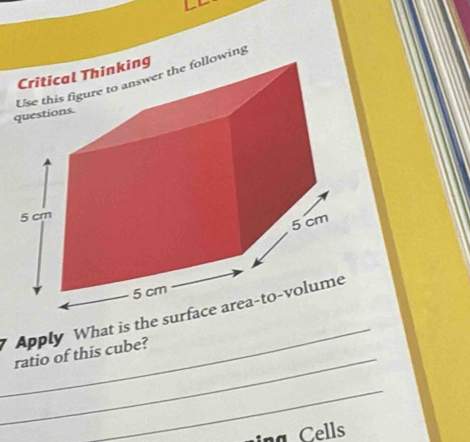 ing 
_ 
_ 
Apply What is the surface area-to-volume 
ratio of this cube? 
_ 
a ells