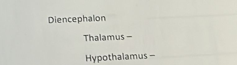 Diencephalon
Thalamus -
Hypothalamus -