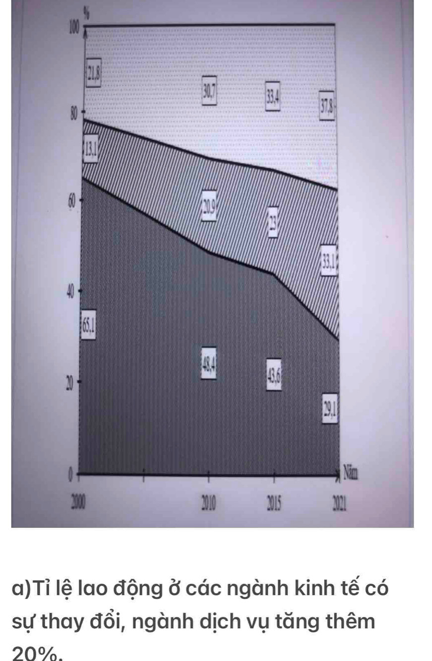 100
21.8
80
M
20
0 . Năm
2000 2010 2015 2021 
a)Tỉ lệ lao động ở các ngành kinh tế có 
sự thay đổi, ngành dịch vụ tăng thêm
20%.