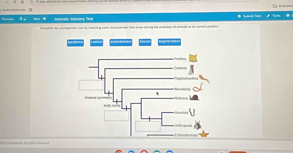 All Bookm
1
Submit Test Tools o
Fravous Neat Animals: Mastery Test
Complete the phylogenetic tree by matching each characteristic that arose during the evolution of animals to its correct position
backbone coelom endoskeletor tissues segmentation
024 Edrosatum. All rights reserved