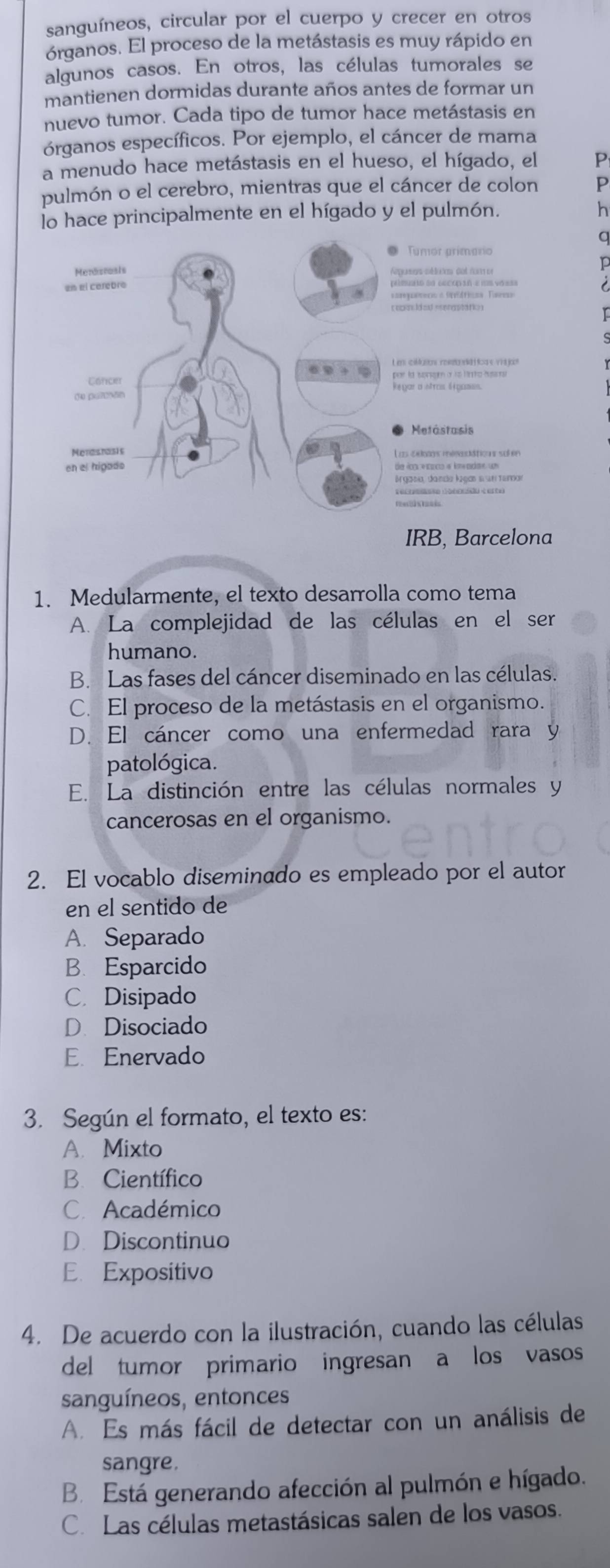 sanguíneos, circular por el cuerpo y crecer en otros
órganos. El proceso de la metástasis es muy rápido en
algunos casos. En otros, las células tumorales se
mantienen dormidas durante años antes de formar un
nuevo tumor. Cada tipo de tumor hace metástasis en
órganos específicos. Por ejemplo, el cáncer de mama
a menudo hace metástasis en el hueso, el hígado, el P
pulmón o el cerebro, mientras que el cáncer de colon P
lo hace principalmente en el hígado y el pulmón.
h
q
Tumor primario
p
muato ao sccop ón ε ms vo ===
é 
concd e eerastation
gar a:ntras lígasas.
Metástasis
cs méneéticas sufen
gasia, danda legas s n tenar
IRB, Barcelona
1. Medularmente, el texto desarrolla como tema
A. La complejidad de las células en el ser
humano.
B. Las fases del cáncer diseminado en las células.
C. El proceso de la metástasis en el organismo.
D. El cáncer como una enfermedad rara y
patológica.
E. La distinción entre las células normales y
cancerosas en el organismo.
2. El vocablo diseminado es empleado por el autor
en el sentido de
A. Separado
B. Esparcido
C. Disipado
D Disociado
E.Enervado
3. Según el formato, el texto es:
A. Mixto
B. Científico
C. Académico
D. Discontinuo
E Expositivo
4. De acuerdo con la ilustración, cuando las células
del tumor primario ingresan a los vasos
sanguíneos, entonces
A. Es más fácil de detectar con un análisis de
sangre.
B. Está generando afección al pulmón e hígado.
C. Las células metastásicas salen de los vasos.