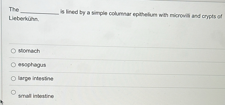 The _is lined by a simple columnar epithelium with microvilli and crypts of
Lieberkühn.
stomach
esophagus
large intestine
small intestine