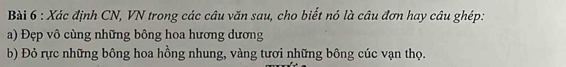 Xác định CN, VN trong các câu văn sau, cho biết nó là câu đơn hay câu ghép: 
a) Đẹp vô cùng những bông hoa hương dương 
b) Đỏ rực những bông hoa hồng nhung, vàng tươi những bông cúc vạn thọ.