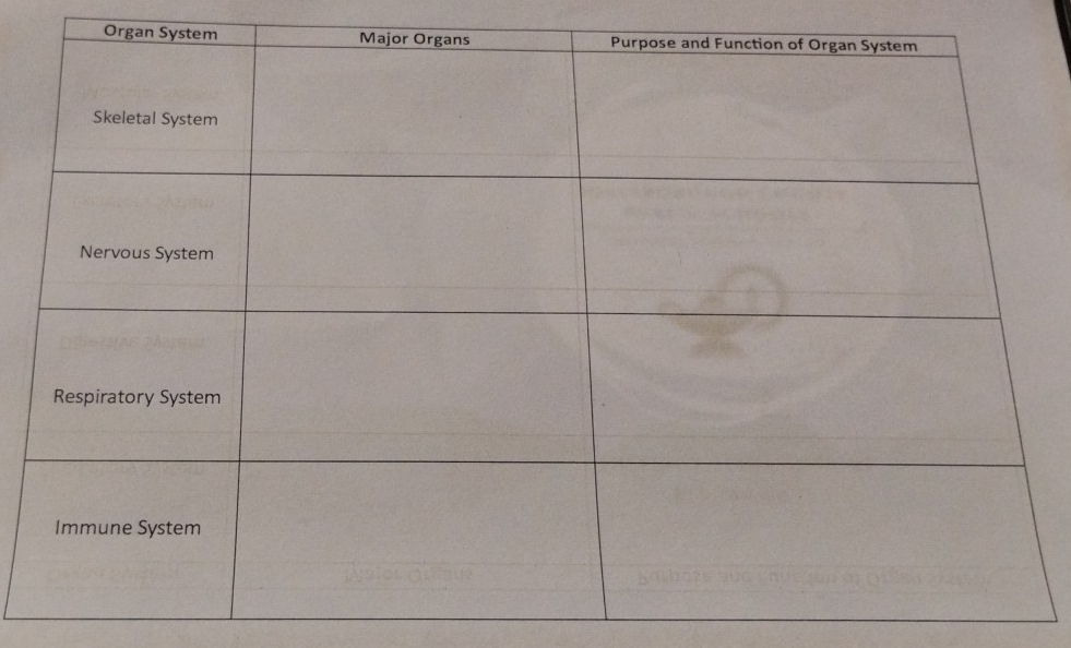 Organ Sys