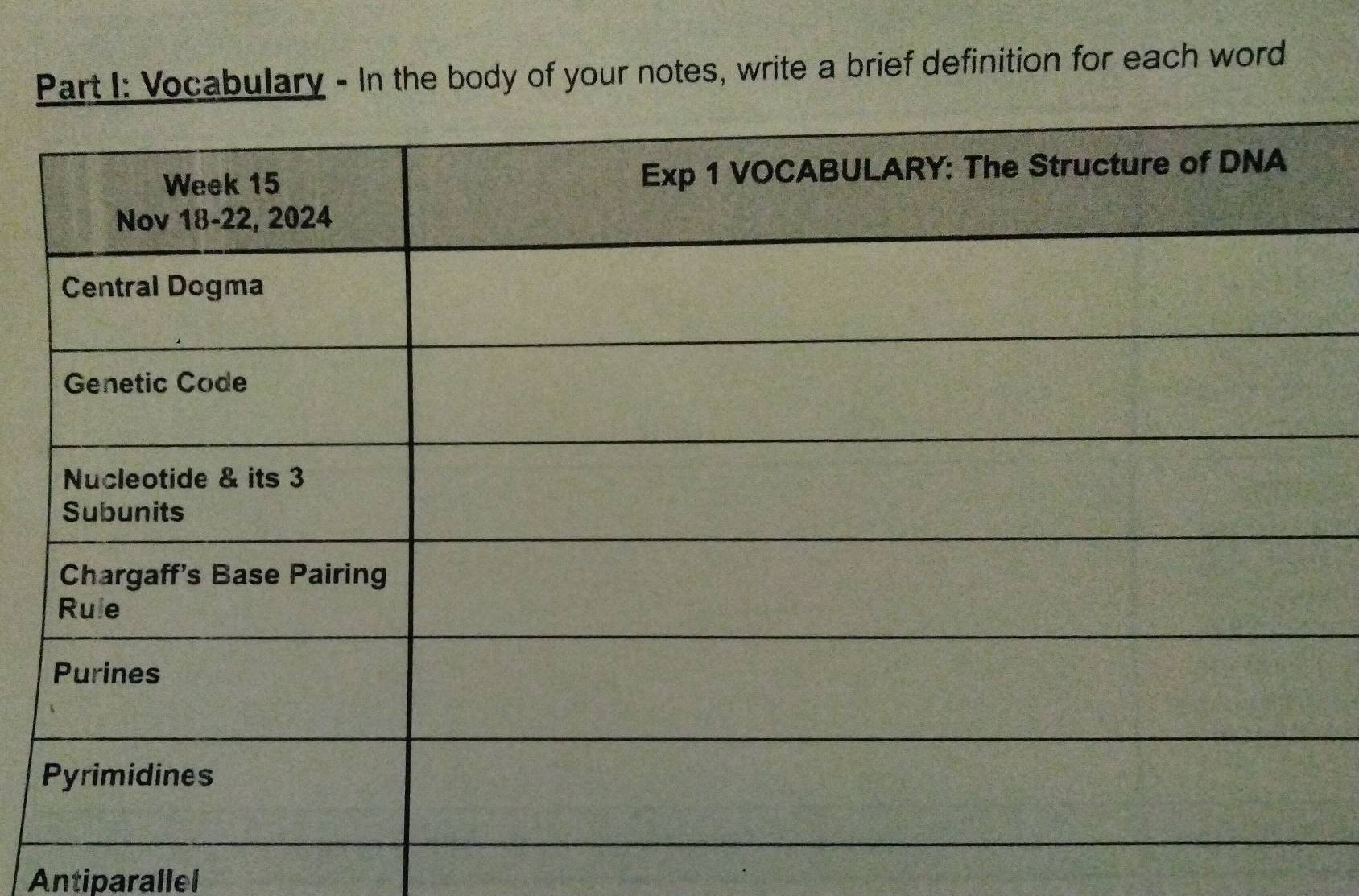 Vocabulary - In the body of your notes, write a brief definition for each word 
Antiparallel