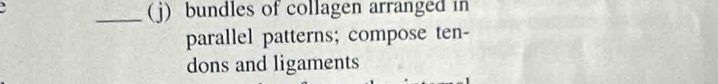 bundles of collagen arranged in 
parallel patterns; compose ten- 
dons and ligaments