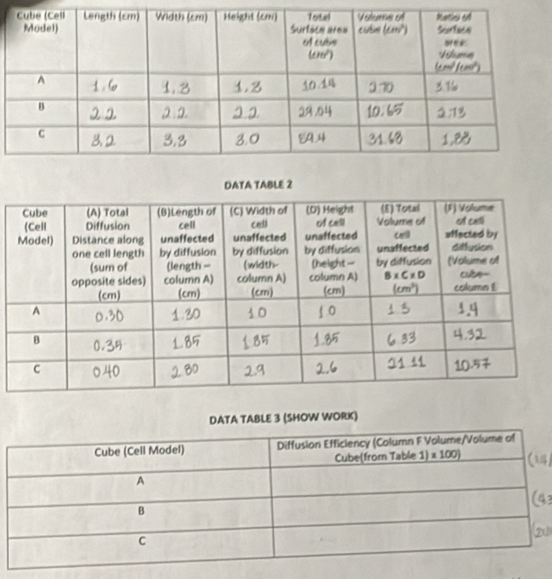 TA TABLE 3 (SHOW WORK)
1