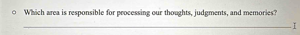 Which area is responsible for processing our thoughts, judgments, and memories? 
_