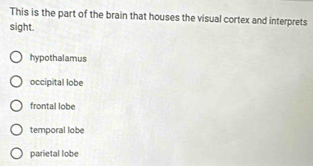 This is the part of the brain that houses the visual cortex and interprets
sight.
hypothalamus
occipital lobe
frontal lobe
temporal lobe
parietal lobe