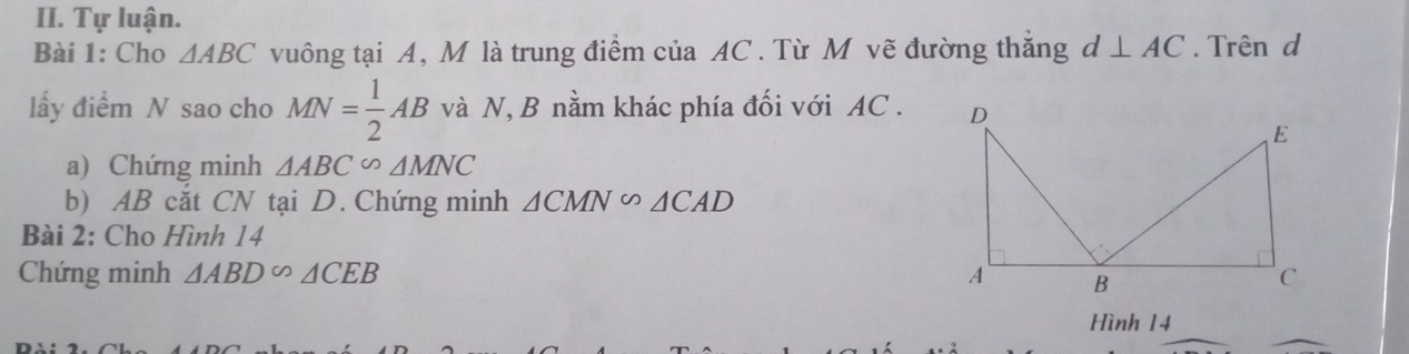 Tự luận. 
Bài 1: Cho △ ABC vuông tại A, M là trung điểm của AC. Từ M vẽ đường thắng d⊥ AC. Trên d 
lấy điểm N sao cho MN= 1/2 AB và N, B nằm khác phía đối với AC. 
a) Chứng minh △ ABC∽ △ MNC
b) AB cắt CN tại D. Chứng minh △ CMN∽ △ CAD
Bài 2: Cho Hình 14
Chứng minh △ ABD∽ △ CEB
Hình 14