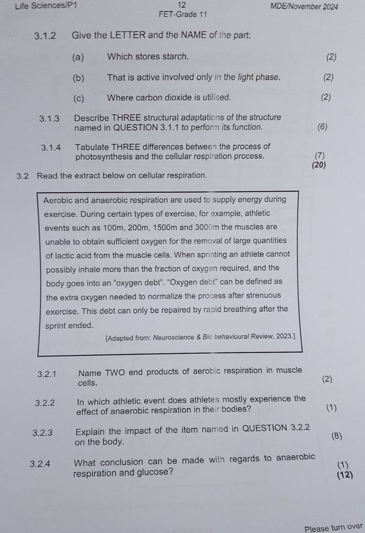 Life Sciences/P1 12 MDE/November 2024 
FET-Grade 11 
3.1.2 Give the LETTER and the NAME of the part: 
(a) Which stores starch. (2) 
(b) That is active involved only in the light phase. (2) 
(c) Where carbon dioxide is utilised. (2) 
3.1.3 Describe THREE structural adaptations of the structure 
named in QUESTION 3.1.1 to perform its function. (6) 
3.1.4 Tabulate THREE differences between the process of 
photosynthesis and the cellular respiration process. (7) 
(20) 
3.2 Read the extract below on cellular respiration. 
Aerobic and anaerobic respiration are used to supply energy during 
exercise. During certain types of exercise, for example, athletic 
events such as 100m, 200m, 1500m and 3000m the muscles are 
unable to obtain sufficient oxygen for the removal of large quantities 
of lactic acid from the muscle cells. When sprinting an athlete cannot 
possibly inhale more than the fraction of oxygen required, and the 
body goes into an “oxygen debt”. “Oxygen debt” can be defined as 
the extra oxygen needed to normalize the process after strenuous 
exercise. This debt can only be repaired by rapid breathing after the 
sprint ended. 
[Adapted from: Neuroscience & Bic behavioural Review, 2023.] 
3.2.1 Name TWO end products of aerobic respiration in muscle 
cells. (2) 
3.2.2 In which athletic event does athletes mostly experience the 
effect of anaerobic respiration in their bodies? (1) 
3.2.3 Explain the impact of the item named in QUESTION 3.2.2 
(8) 
on the body. 
3.2.4 What conclusion can be made with regards to anaerobic (1) 
respiration and glucose? 
(12) 
Please turn over