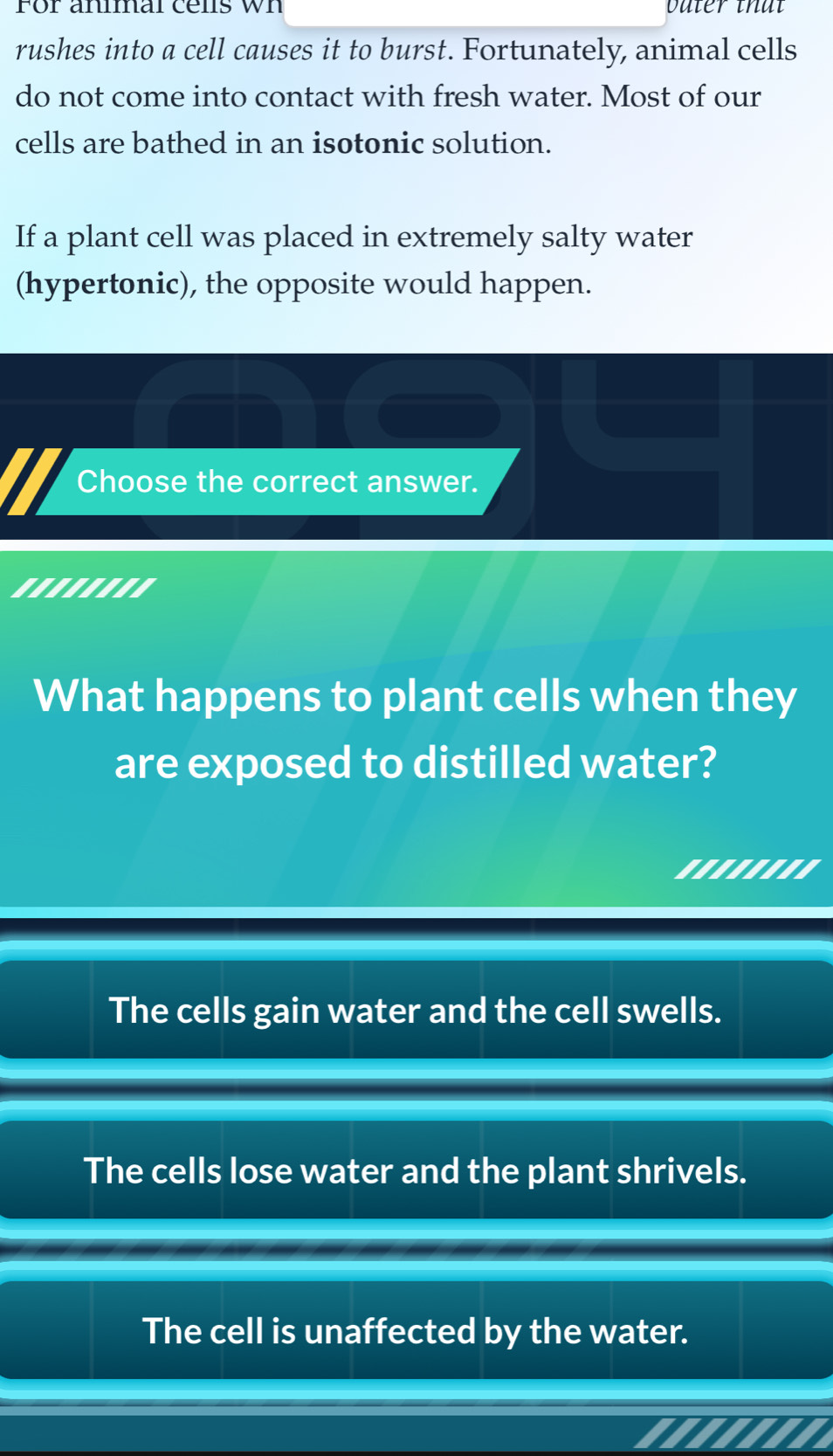 For animal cells wh oa ter th at 
rushes into a cell causes it to burst. Fortunately, animal cells
do not come into contact with fresh water. Most of our
cells are bathed in an isotonic solution.
If a plant cell was placed in extremely salty water
(hypertonic), the opposite would happen.
Choose the correct answer.
.......'
What happens to plant cells when they
are exposed to distilled water?
'.......
The cells gain water and the cell swells.
The cells lose water and the plant shrivels.
The cell is unaffected by the water.