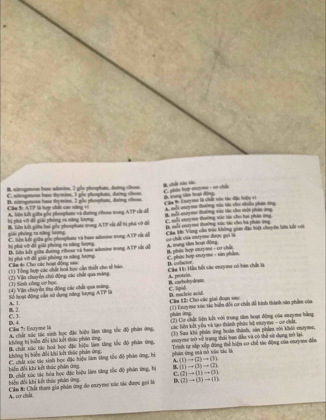B. chất xức tác.
B. nitrogenous base adenine, 2 gốc phosphate, đường ribose.
C. phức hợp cnayme - cơ chất
C. nitrogenous base thymine, 3 gộc phosphate, đường ribose.
D. trung tâm hoạt động.
D. nitrogenous base thymine, 2 gộc phosphate, đường ribose.
Cầu 5: ATPP là hợp chất cao năng vì  Câu 9: Enzyme là chất xúc tác đặc hiệu vi
A. liên kết giữa gốc phosphate và đường ribose trong ATP rắt dễ A. mỗi enzyme thường xúc tác cho nhiều phân ứng
B. mỗi enzyme thường xúc tác cho một phản ứng.
bị phá vỡ đề giải phóng ra năng lượng.
C. mỗi enzyme thường xúc tác cho hai phần ứng.
B. liên kết giữa hai gốc phosphate trong ATP rắt dể bị phá vỡ đẻ D. mỗi enzyme thường xúc tác cho ba phản ứng.
C. liên kết giữa gốc phosphate và base adenine trong ATP rất dể  Câu 10: Vùng cầu trúc không gian đặc biệt chuyên liên kết với
giải phóng ra năng lượng.
bị phá vỡ đề giải phóng ra năng lượng. cơ chất của enzyme được gọi là
D. liên kết giữa đường ribose và base adenine trong ATP rắt dễ A. trung tâm hoạt động.
B. phức hợp enzyme - cơ chất.
bị phá vỡ đề giải phóng ra năng lượng.
C. phức hợp enzyme - sản phẩm.
Câu 6: Cho các hoạt động sau:
(1) Tổng hợp các chất hoá học cần thiết cho tế bào. D. cofactor.
(2) Vận chuyển chủ động các chất qua màng. Cầu 11: Hầu hết các enzyme có bản chất là
(3) Sinh công cơ học. A. protein.
(4) Vận chuyển thụ động các chất qua màng. B. carbohydrate.
Số hoạt động cần sử dụng năng lượng ATP là C. lipid.
D. nucleic acid.
A. 1.
Câu 12: Cho các giai đoạn sau:
B. 2.
(1) Enzyme xúc tác biến đổi cơ chất đề hình thành sản phẩm của
C. 3.
phản ứng.
Câu 7: Enzyme là (2) Cơ chất liện kết với trung tâm hoạt động của enzyme bằng
D. 4.
A. chất xúc tác sinh học đặc hiệu làm tăng tốc độ phản ứng, các liên kết yểu và tạo thành phức hệ enzyme - cơ chất.
không bị biến đổi khi kết thúc phản ứng. (3) Sau khi phản ứng hoàn thành, sản phẩm rời khỏi enzyme,
B. chất xúc tác hoá học đặc hiệu làm tăng tốc độ phản ứng, enzyme trở về trạng thái ban đầu và có thể sử dụng trở lại.
không bị biến đổi khi kết thúc phản ứng. Trình tự sắp xếp đúng thể hiện cơ chế tác động của enzyme đến
C. chất xúc tác sinh học đặc hiệu làm tăng tốc độ phản ứng, bị phản ứng mà nó xúc tác là
A. (1)to (2)to (3)
biến đổi khi kết thúc phản ứng.
D. chất xúc tác hóa học đặc hiệu làm tăng tốc độ phản ứng, bị B. (1)to (3)to (2).
C. (2)to (1)to (3).
biến đổi khi kết thúc phản ứng.
Câu 8: Chất tham gia phản ứng do enzyme xúc tác được gọi là D. (2)to (3)to (1).
A. cơ chất.