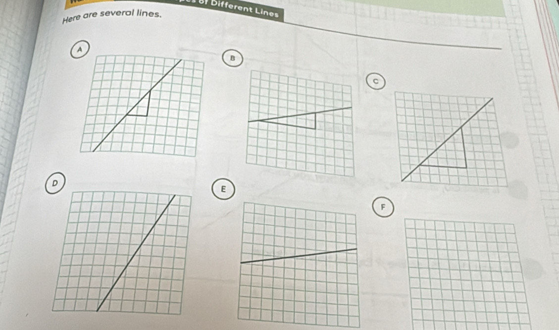 Different Lines 
Here are several lines. 
A 
E