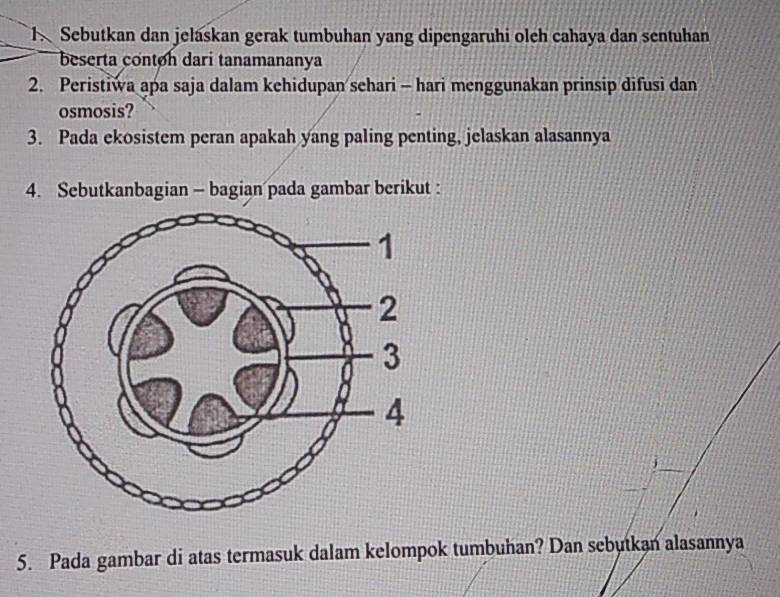 Sebutkan dan jelaskan gerak tumbuhan yang dipengaruhi olch cahaya dan sentuhan 
beserta contoh dari tanamananya 
2. Peristiwa apa saja dalam kehidupan sehari - hari menggunakan prinsip difusi dan 
osmosis? 
3. Pada ekosistem peran apakah yang paling penting, jelaskan alasannya 
4. Sebutkanbagian - bagian pada gambar berikut : 
5. Pada gambar di atas termasuk dalam kelompok tumbuhan? Dan sebutkan alasannya