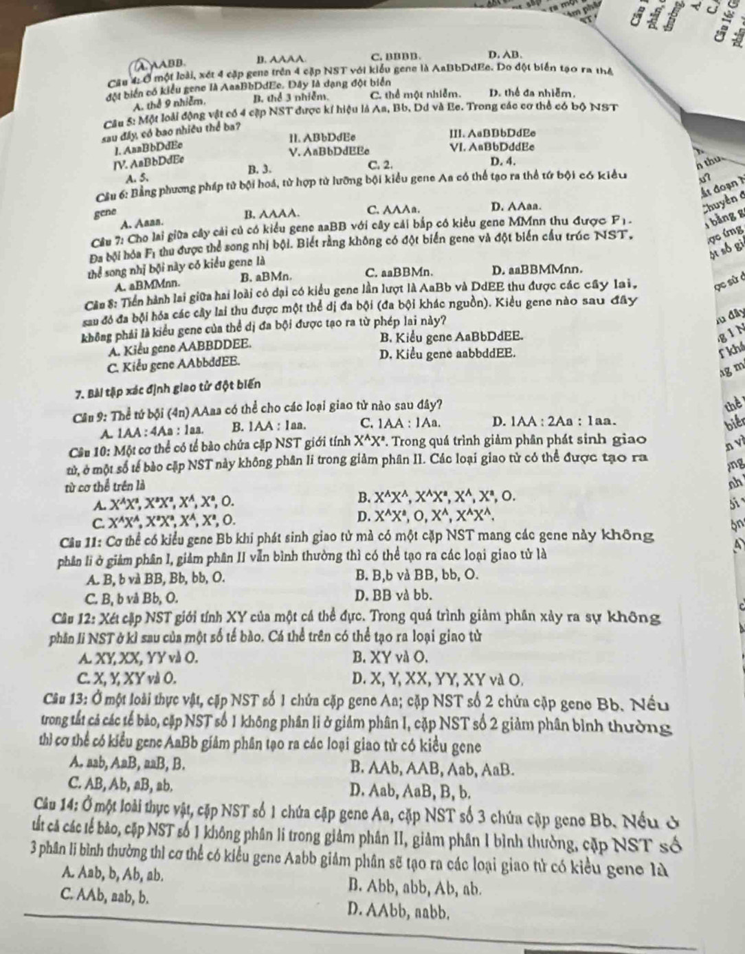 AAABB. B. AAAA. C. BBBB. D.AB.
Câu 4 Ở một loài, xét 4 cặp gene trên 4 cặp NST với kiểu gene là AaBbDdEe. Do đột biển tạo ra thể
đột biển có kiểu gene là AaaBbDdEc. Đây là dạng đột biển
A. thể 9 nhiễm, B. thể 3 nhiễm. C. thể một nhiễm. D. thể đa nhiễm.
Câu 5: Một loài động vật có 4 cặp NST được kí hiệu là As, Bb, Dd và Be. Trong các cơ thể có bộ NST
sau đây, có bao nhiều thể ba?
11. ABbDdEc III. AsBBbDdEe
1. AaaBbDdEe VI. AaBbDddEe
V. AnBbDdEEc
IV. AnBbDdEc D. 4.
B. 3. C. 2.
h thu
A. 5. x7
Cầu 6: Bằng phương pháp tử bội hoá, tử hợp tử lưỡng bội kiểu gene Aa có thể tạo ra thể tứ bội có kiểu
gene B. AAAA. C. AA∧n. D. AAaa.
Chuyền C ất đoạn 1
A. Aaan.
Cầu 7: Cho lai giữa cây cải củ có kiểu gene aaBB với cây cái bắp có kiểu gene MMnn thu được F1 -
bằng g
Đa bội hóa Fi thu được thể song nhị bội. Biết rằng không có đột biển gene và đột biển cầu trúc NST,
ợc ứng
sī só gi
thể song nhị bội này có kiểu gene là
A. aBMMnn. B. aBMn. C. aaBBMn. D. aaBBMMnn.
Cầu 8: Tiền hành lai giữa hai loài có đại có kiểu gene lần lượt là AaBb và DdEE thu được các cây lai,
ợc sử ở
sau đó đa bội hóa các cây lai thu được một thể dị đa bội (đa bội khác nguồn). Kiều gene nào sau đây
không phải là kiểu gene của thể dị đa bội được tạo ra từ phép lai này?
lu đây
A. Kiểu gene AABBDDEE. B. Kiểu gene AaBbDdEE.
giN
f khá
C. Kiểu gene AAbbddEE.
D. Kiểu gene aabbddEE.
ag m
7. Bài tập xác định giao tử đột biến
Cầu 9: Thể tứ bội (4n) AAaa có thể cho các loại giao tử nào sau đây?
thể
A. 1AA : 4 Aa: laa B. 1AA : 1aa. C. 1AA : 1Aa. D. IAA : 2Aª : 1ªa.
biển
Câu 10: Một cơ thể có tế bào chứa cặp NST giới tính X^AX^a. Trong quá trình giảm phân phát sinh giao
n vì
tử, ở một số tế bào cặp NST này không phân li trong giảm phân II. Các loại giao tử có thể được tạo ra
jng
từ cơ thể trên là
nh
A. X^AX^a,X^aX^a,X^A,X^a,O B. X^(wedge)X^(wedge),X^(wedge),X^(wedge),X^(wedge),O.
si
D. X^(wedge)X^(wedge),O,X^(wedge),X^(wedge)X^(wedge).
C. X^(wedge)X^(wedge),X^aX^a,X^(wedge),X^a,O. on
Câu 11: Cơ thể có kiểu gene Bb khi phát sinh giao tử mả có một cặp NST mang các gene này không
A
phân li ở giảm phân I, giảm phân II vẫn bình thường thì có thể tạo ra các loại giao tử là
A. B, b và BB, Bb, bb, O. B. B,b và BB, bb, O.
C. B, b và Bb, O. D. BB và bb.
Câu 12: Xét cặp NST giới tính XY của một cá thể đực. Trong quá trình giảm phân xảy ra sự không
phân li NST ở kỉ sau của một số tế bào. Cá thể trên có thể tạo ra loại giao từ
A. XY, XX, YY và O. B. XY và O.
C. X, Y, XY và O. D. X, Y, XX, YY, XY và O.
Câu 13: Ở một loài thực vật, cặp NST số 1 chứa cặp gene Aa; cặp NST số 2 chứa cập geno Bb. Nều
trong tất cả các tế bảo, cập NST số 1 không phân li ở giảm phân I, cặp NST số 2 giảm phân bình thường
thì cơ thể có kiểu gene AaBb giảm phân tạo ra các loại giao từ có kiều gene
A. aab, AaB, aaB, B. B. AAb, AAB, Aab, AaB.
C. AB, Ab, aB, ab. D. Aab, AaB, B, b.
Câu 14: Ở một loài thực vật, cặp NST số 1 chứa cập gene Aa, cặp NST số 3 chứa cặp geno Bb. Nếu ở
cất cả các tế bảo, cặp NST số 1 không phân li trong giảm phân II, giảm phân 1 bình thường, cập NST số
3 phân li bình thường thì cơ thể có kiểu gene Aabb giảm phân sẽ tạo ra các loại giao tử có kiểu gene là
A. Aab, b, Ab, ab. B. Abb, abb, Ab, ab.
C. AAb, aab, b. D. AAbb, aabb.