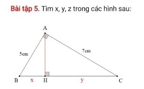 Bài tập 5. Tìm x, y, z trong các hình sau: