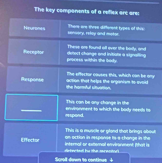 The key componen 
t 
Scroll down to continue