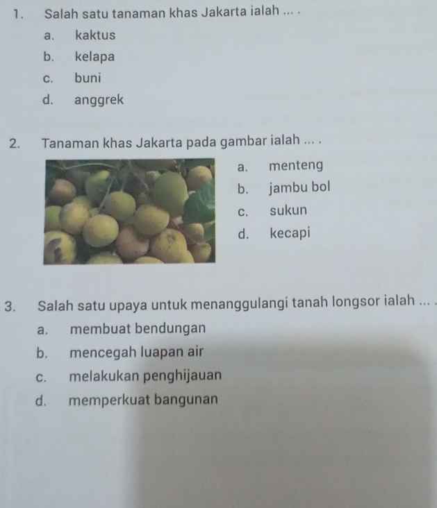 Salah satu tanaman khas Jakarta ialah ... .
a. kaktus
b. kelapa
c. buni
d. anggrek
2. Tanaman khas Jakarta pada gambar ialah ... .
a. menteng
b. jambu bol
c. sukun
d. kecapi
3. Salah satu upaya untuk menanggulangi tanah longsor ialah ... .
a. membuat bendungan
b. mencegah luapan air
c. melakukan penghijauan
d. memperkuat bangunan