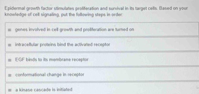 Epidermal growth factor stimulates proliferation and survival in its target cells. Based on your 
knowledge of cell signaling, put the following steps in order: 
genes involved in cell growth and proliferation are turned on 
intracellular proteins bind the activated receptor 
EGF binds to its membrane receptor 
conformational change in receptor 
a kinase cascade is initiated