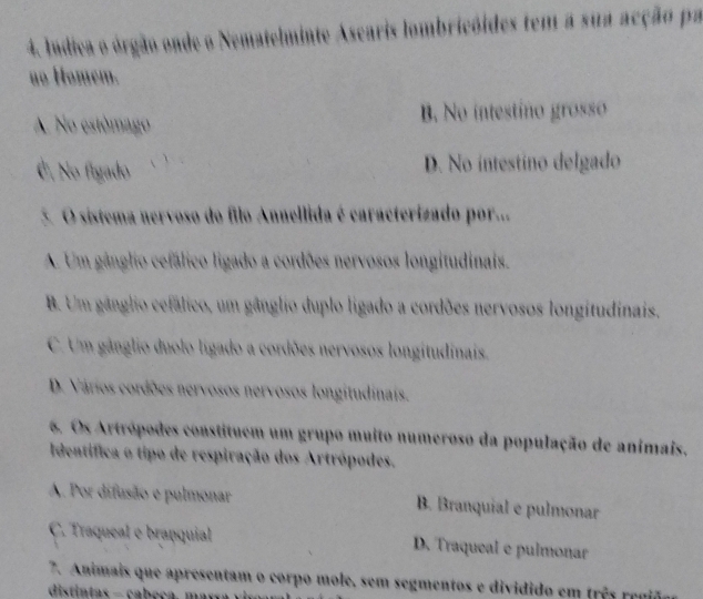 lndica o órgão onde o Nematelminte Ascaris lombricóides tem a sua acção pa
no Homem.
A No estómago B. No intestino grosso
É, No figado 1 D. No intestino delgado
5. O sistema nervoso do filo Annellida é caracterizado por..
A. Um gânglio cefálico ligado a cordões nervosos longitudinais.
B. Um gânglio cefálico, um gânglio duplo ligado a cordões nervosos longitudinais.
C. Um gânglio duolo ligado a cordões nervosos longitudinais.
D. Vários cordões nervosos nervosos longitudinais.
6. Os Artrópodes constituem um grupo muito numeroso da população de animais.
Identífica o tipo de respiração dos Artrópodes.
A. Por difusão e pulmonar B. Branquial e pulmonar
C. Traqueal é branquial D. Traqueal e pulmonar
7. Animais que apresentam o corpo mole, sem segmentos e dividido em trê e
distintas - cabeça