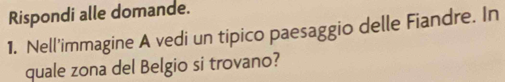 Rispondi alle domande. 
1. Nell’immagine A vedi un tipico paesaggio delle Fiandre. In 
quale zona del Belgio si trovano?