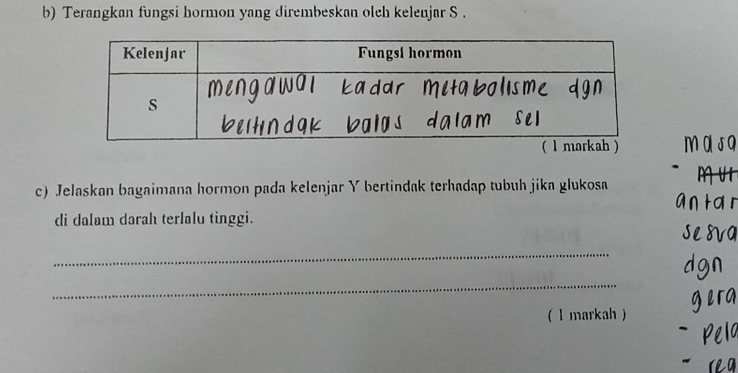 Terangkan fungsi hormon yang dirembeskan oleh kelenjar S. 
c) Jelaskan bagaimana hormon pada kelenjar Y bertindak terhadap tubuh jika glukosa 
di dalam darah terlalu tinggi. 
_ 
_ 
(1 markah )