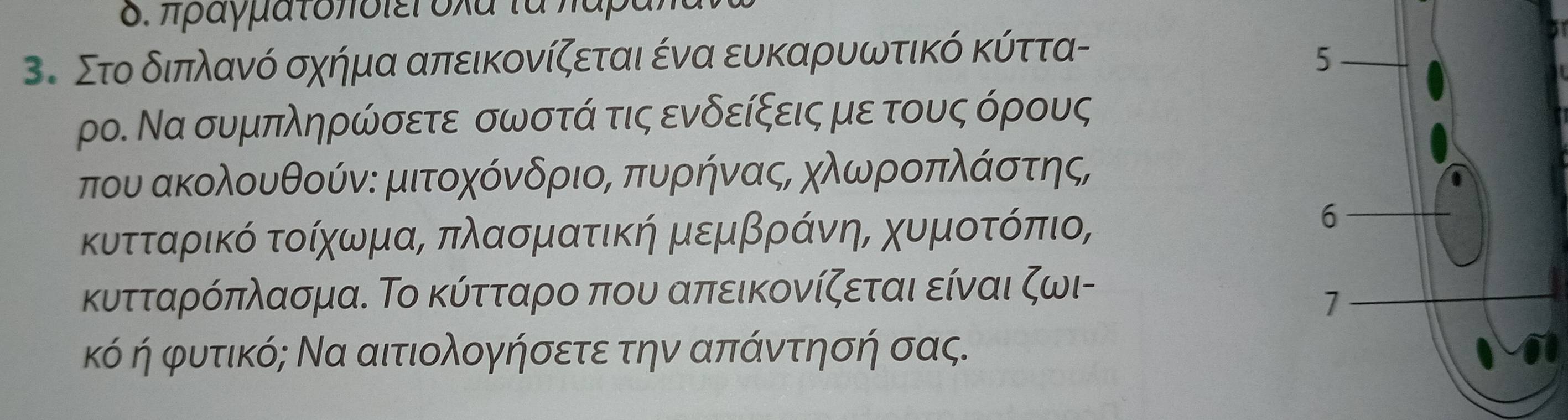 πραγματοποιει οxα τα παρα
3. Στο διπλανό σχήμα απεικονίζεται ένα ευκαρυωτικό κύττα- 
ρο. Να συμπληρώσετε σωστά τις ενδείξεις με τους όρους 
που ακολουθούν: μιτοχόνδριο, πυρήνας, χλωροπλάστης, 
κυτταρικό τοίχωνμαΒ πλασματική μεμβρρίάνηΒ χυμοτοόπιο, 
κυτταρόπλασμα. Το κύτταρο που απεικονίζεται είναι ζωι- 
κό ή φυτικό; Να αιτιολογήσετε την απάντησή σας.