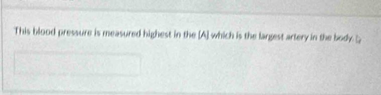 This blood pressure is measured highest in the [A] which is the largest artery in the body