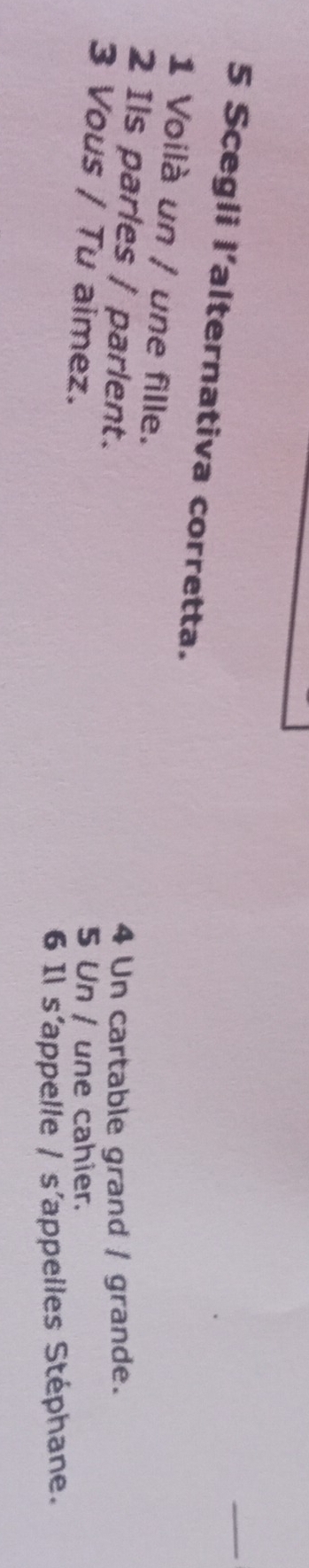 Scegli l'alternativa corretta.
1 Voilà un / une fille.
2 Ils parles / parlent.
4 Un cartable grand / grande.
3 Vous / Tu aimez.
5 Un / une cahier.
6 Il s’appelle / s’appelles Stéphane.