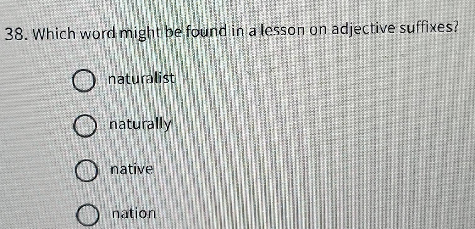 Solved: Which word might be found in a lesson on adjective suffixes ...