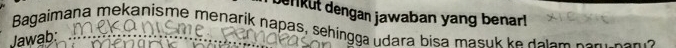 erkut dengan jawaban yang benar! 
Bagaimana mekanisme menarik napas, sehingga udara bisa masuk ke dalam por y car? 
Jawab: