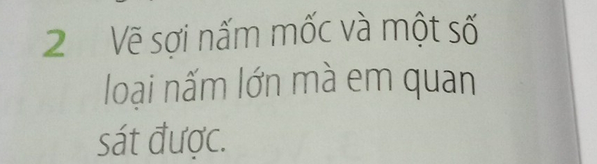 Vẽ sợi nấm mốc và một số 
loại nấm lớn mà em quan 
sát được.