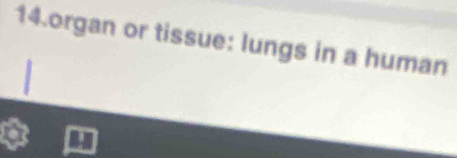 organ or tissue: lungs in a human