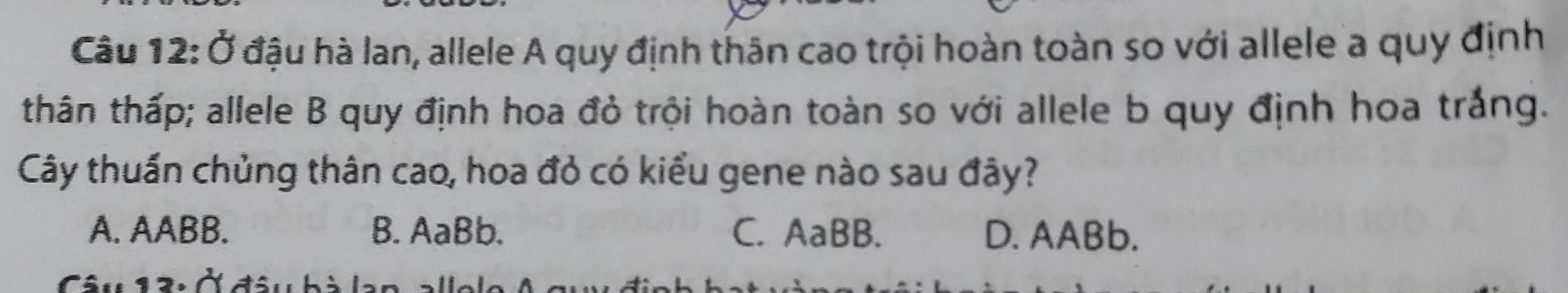 Ở đậu hà lan, allele A quy định thân cao trội hoàn toàn so với allele a quy định
thân thấp; allele B quy định hoa đỏ trội hoàn toàn so với allele b quy định hoa trắng.
Cây thuần chủng thân cao, hoa đỏ có kiểu gene nào sau đây?
A. AABB. B. AaBb. C. AaBB. D. AABb.