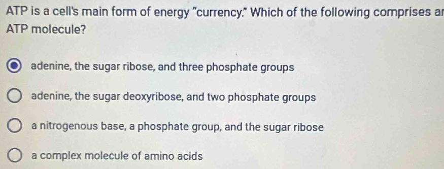 ATP is a cell's main form of energy "currency." Which of the following comprises ar
ATP molecule?
a adenine, the sugar ribose, and three phosphate groups
adenine, the sugar deoxyribose, and two phosphate groups
a nitrogenous base, a phosphate group, and the sugar ribose
a complex molecule of amino acids