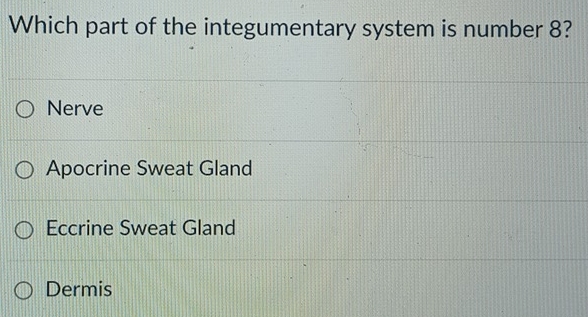 Which part of the integumentary system is number 8?
Nerve
Apocrine Sweat Gland
Eccrine Sweat Gland
Dermis