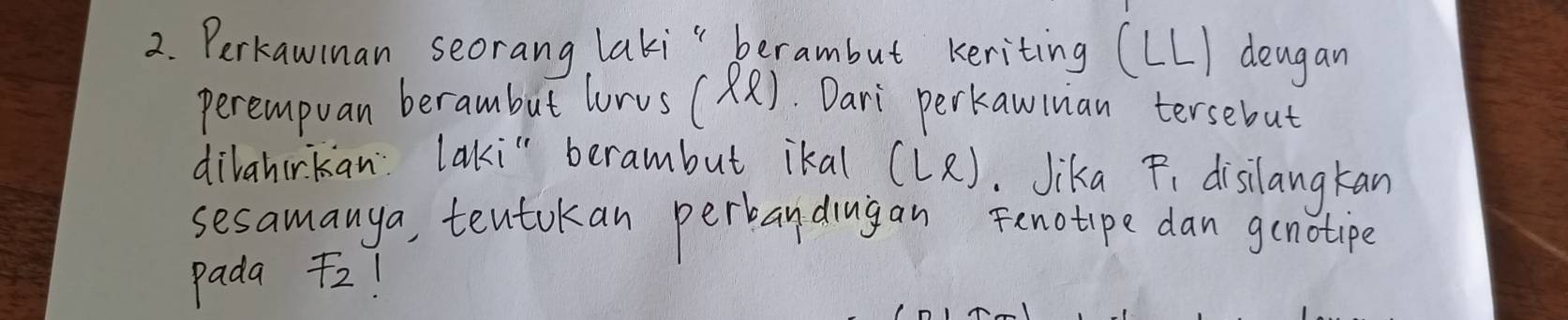 Perkawinan seorang laki " berambut keriting (LL] dengan 
perempuan berambut lorvs ( wedge x) Dari perkawluan tersebut 
dilahirkan laki" berambut ikal (Le). Jika F, disilangkan 
sesamanya, tentokan perbandiugan Fenotipe dan gcnotipe 
pada F_2 1