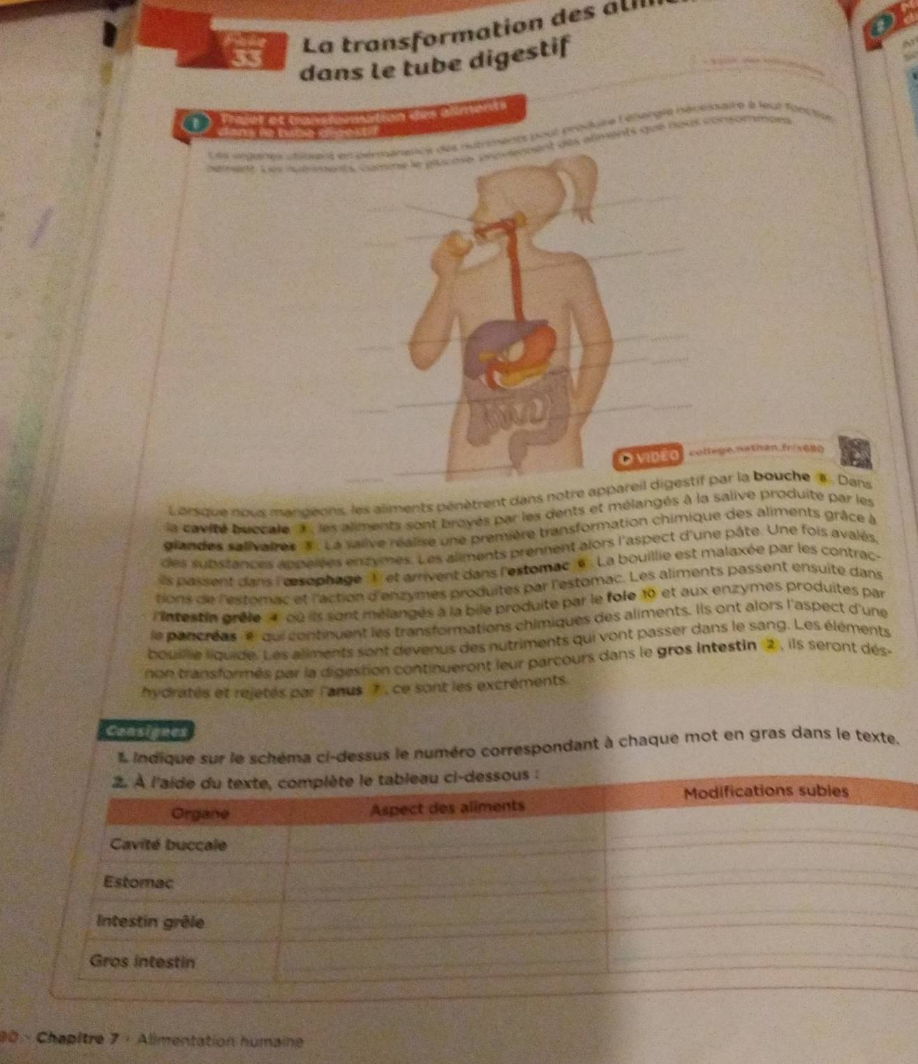 La transformation des 
dans le tube digestif 
M o 
Lls ingenes utlssent en pérmanence des nutrment pour prédure lélergse nécelnaire l leut fonctue 
Les nurments, comne le plucose dépvénnent des alments que nous consommons 
Ovideo cottege.natian.fn/s0 
Lérsque nous mangeons, les aliments pénètrent dans notre appareil digestif par la bouche e . Dans 
la cavité buccale à , les aliments sont broyés par les dents et mélangés à la salive produite par les 
glandes salivaires 8 . La salive réalise une première transformation chimique des aliments grâce à 
des subssances appalées enzymes. Les aliments prennent alors l'aspect d'une pâte. Une fois avalés 
s passent dans l rsophage ) et arrivent dans l'estomac e . La bouillie est malaxée par les contrac- 
tions de l'estomac et l'action d'enzymes produites par l'estomac. Les aliments passent ensuite dans 
intestin grèle 4 où ils sont mélangés à la bile produite par le fole 10 et aux enzymes produites par 
le pancréas e qui continuent les transformations chimiques des aliments. Ils ont alors l'aspect d'une 
bouile liquide. Les aliments sont devenus des nutriments qui vont passer dans le sang. Les éléments 
non transformés par la digestion continueront leur parcours dans le gros intestin 2 , ils seront dés- 
hydratés et rejetés par l'anus 7 , ce sont les excréments. 
Consignes 
L indique sur le schéma ci-dessus le numéro correspondant à chaque mot en gras dans le texte. 
90 - Chapître 7 · Alimentation humaine
