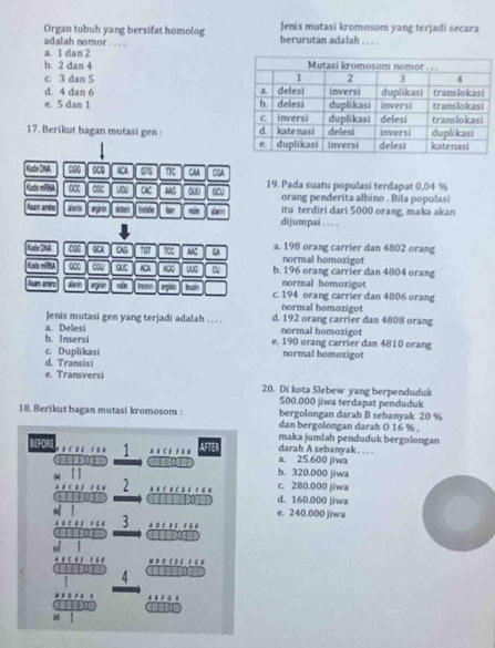 Organ tubuh yang bersifat homolog Jenis mutasi kromosom yang terjadi secara
adalah nomor . . . . berurutan adalah , .  .
a. 1 dan 2
b. 2 dan 4
c 3 dan 5
d. 4 dan 6
e. 5 dan 1 
17. Berikut bagan mutasi gen : 
Kode DINA 060 G0G ACA G16 nc CAA CGA
Kode mP OSC CAC AAG GCU 19. Pada suatu populasi terdapat 0,04 %
orang penderita albino . Bila populasi
Asan wrine Warin argino ester histicie rún alarin dijumpai . . . . itu terdiri dari 5000 orang, maka akan
Ker DNA CGG GCA CAS fGt TCC NC GA a. 198 orang carrier dan 4802 orang
normal homozigot
Kode midu 00 CQU Qc ACA AGG UG b. 196 orang carrier dan 4804 orang
normal homozigot
Asan anino abrin 7 vuển beann hush c. 194 orang carrier dan 4806 orang
normal homozigot
Jenis mutasi gen yang terjadi adalah . . . . d. 192 orang carrier dan 4808 orang
b. Insersi a. Delesi normal homozigot
e. 190 orang carrier dan 4810 orang
normal homozigot
c. Duplikasi d. Transisi
e. Transversi 20. Di kota Slebew yang berpenduduk
500.000 jiwa terdapat penduduk
18. Berikut bagan mutasi kromosom : bergolongan darah B sebanyak 20 %
dan bergolongan darah 0 16 % .
maka jumlah penduduk bergolongan
AFTE
BEFOR *  C 2 E 1  * 1 A B C E 1 G H a. 25.600 jiwa darah A sebanyak . . . .
I b. 320.000 jiwa
2 A B C B C D 6 1 G H d. 160.000 jiwa c. 280.000 jiwa
e. 240.000 jiwa
. 15 3 * C     
AB C  B    * ' o c o '  .  
4
*   
64