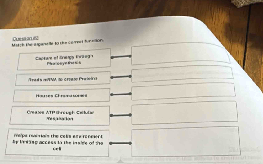 Match the organelle to the correct function.
Capture of Energy through
Photosynthesis
Reads mRNA to create Proteins
Houses Chromosomes
Creates ATP through Cellular
Respiration
Helps maintain the cells environment
by limiting access to the inside of the
cell