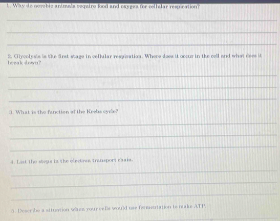 Why do aerobic animals require food and oxygen for cellular respiration? 
_ 
_ 
_ 
2. Glycolysis is the first stage in cellular respiration. Where does it occur in the cell and what does it 
break down? 
_ 
_ 
_ 
3. What is the function of the Krebs cycle? 
_ 
_ 
_ 
4. List the steps in the electron transport chain. 
_ 
_ 
_ 
5. Describe a situation when your cells would use fermentation to make ATP. 
_