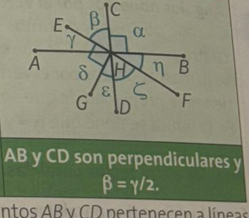 AB y CD son perpendiculares y
beta =gamma /2. 
intos AB v CD pertenecen a líneas