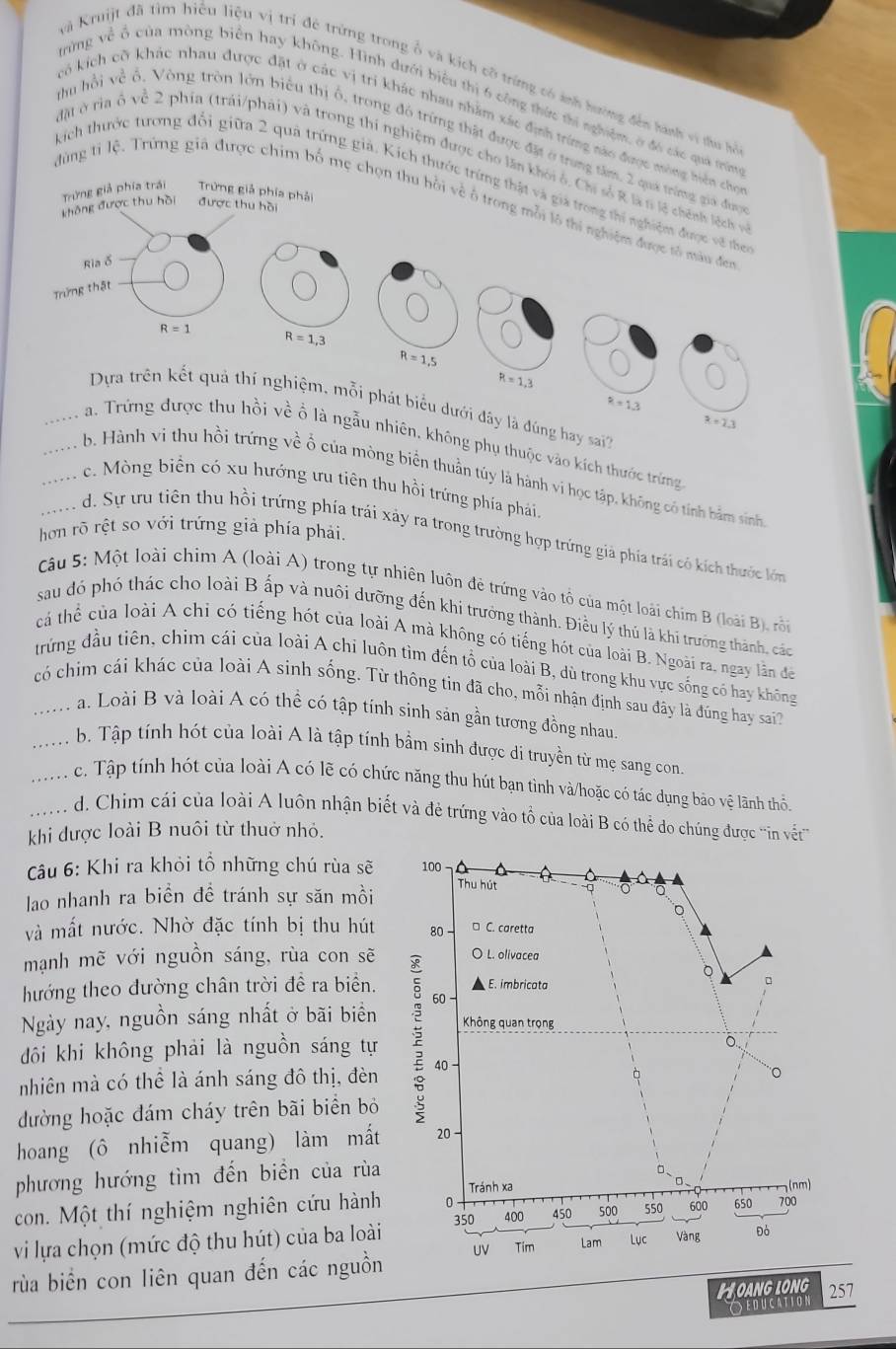 Ka Kruijt đã tìm hiểu liệu vị trì đẻ trừng trong ổ và kích cỡ trừng có ảnh hướng đến hành vi đu h
trừng về ô của mông biển hay không. Hình dưới biểu thị 6 công thức thi nghiệm, ở đó các qua trêm
kô kích cỡ khác nhau được đặt ở các vị tri khác nhau nhăm xác định trừng nào được mông hiện che
Nhu hồi về ổ, Vòng tròn lớn biểu thị ổ, trong đó trừng thật được đặt ở trung tâm, 2 quá trống giả đượ
đặt ở rìa ô về 2 phía (trái/phải) và trong thí nghiệm được cho lần khói ở, Chỉ số R là n lệ chính lệch và
kíich thước tương đổi giữa 2 quả trứng giả. Kích thước trừng thật và giả trong thi nghiệm được về the
Trừng giả phía trái Trừng giả phía phải
đng tí lệ. Trứng giả được chim bố mẹ chọn thu hồi về ô trong mỗi lô thi nghiệm được tổ màu đen
không được thu hồi được thu hồi
Ria ố
Trừng thật
R=1 R=1,3
R=1,5
R=1,3
k=1.3
Dựa trên kết quả thí nghiệm, mỗi phát biểu dưới đây là đúng hay sai??
x=2.3
_a. Trứng được thu hồi về ổ là ngẫu nhiên, không phụ thuộc vào kích thước trừng
___. . . . . b. Hành vi thu hồi trứng về ổ của mòng biển thuần túy là hành vi học tập, không có tính bằmn sinh
.... c. Mòng biển có xu hướng ưu tiên thu hồi trứng phía phải.
hơn rõ rệt so với trứng giả phía phải.
d. Sự ưu tiên thu hồi trứng phía trái xảy ra trong trường hợp trứng giả phía trái có kích thước lớm
Câu 5: Một loài chim A (loài A) trong tự nhiên luôn đẻ trứng vào tổ của một loài chim B (loài B), rộn
sau đỏ phó thác cho loài B ấp và nuôi dưỡng đến khi trưởng thành. Điều lý thủ là khi trưởng thành, các
cả thể của loài A chỉ có tiếng hót của loài A mà không có tiếng hót của loài B. Ngoài ra, ngay lần đe
trừng đầu tiên, chìm cái của loài A chi luôn tìm đến tổ của loài B, dù trong khu vực sống có hay không
có chim cái khác của loài A sinh sống. Từ thông tin đã cho, mỗi nhận định sau đây là đúng hay sai?
a. Loài B và loài A có thể có tập tính sinh sản gần tương đồng nhau.
_b. Tập tính hót của loài A là tập tính bảm sinh được di truyền từ mẹ sang con.
_c. Tập tính hót của loài A có lẽ có chức năng thu hút bạn tình và/hoặc có tác dụng bảo vệ lãnh thỏ.
... d. Chim cái của loài A luôn nhận biết và đẻ trứng vào tổ của loài B có thể do chúng được '''in vết'''
khi được loài B nuôi từ thuở nhỏ.
Câu 6: Khi ra khỏi tổ những chú rùa sẽ 100
lao nhanh ra biển đề tránh sự săn mồi Thu hút q o
。
và mất nước. Nhờ đặc tính bị thu hút 80 □ C. caretta
mạnh mẽ với nguồn sáng, rùa con sẽ O L. olivacea
hướng theo đường chân trời đề ra biển. 。
E. imbricata
。
Ngày nay, nguồn sáng nhất ở bãi biển 60
đồôi khi không phải là nguồn sáng tự 2 Không quan trọng
。
nhiên mà có thể là ánh sáng đô thị, đèn 40
q
O
đường hoặc đám cháy trên bãi biển bỏ
hoang (ô nhiễm quang) làm mất 20 -
phương hướng tìm đến biển của rùa
。
0、
con. Một thí nghiệm nghiên cứu hành 0 Tránh xa (nm)
vi lựa chọn (mức độ thu hút) của ba loài 350 400 450 500 550 600 650 700
rùa biển con liên quan đến các nguồn UV Tim Lam Lục Vàng Đỏ
HOANG LONG 257
Oeducation