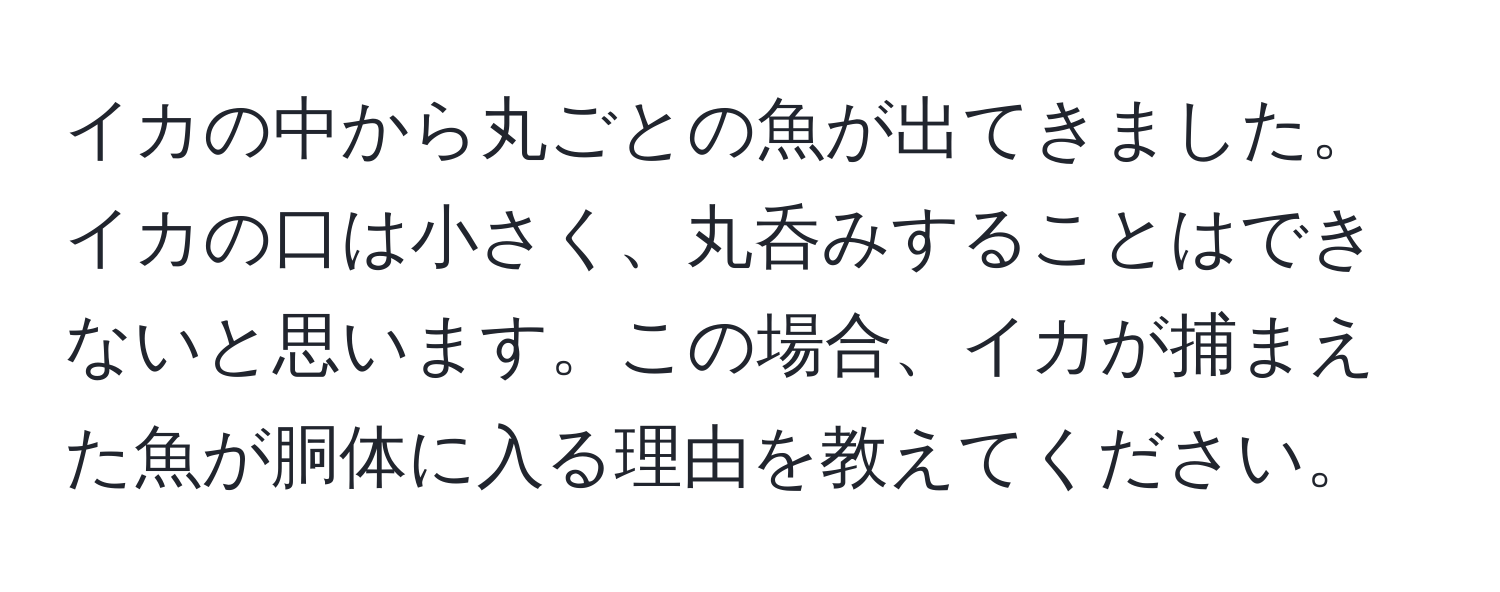 イカの中から丸ごとの魚が出てきました。イカの口は小さく、丸呑みすることはできないと思います。この場合、イカが捕まえた魚が胴体に入る理由を教えてください。