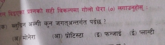 हल बिडएका प्रश्नको सही विकल्पमा गोलो घेरा (o) लगाउनुहोस् :
(क) ब्लुग्रिन अल्गी कुन जगत्अन्तर्गत परदछ ?
(ऑ)/ मोनेरा (आ) प्रोटिस्टा (इ) फन्जाई (ई) प्लान्टी